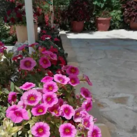 Armonia Nyaraló Hlomósz